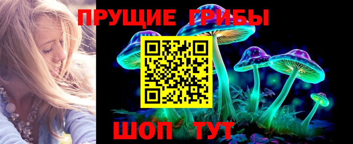 Галлюциногенные грибы прущие грибы Тамбов
