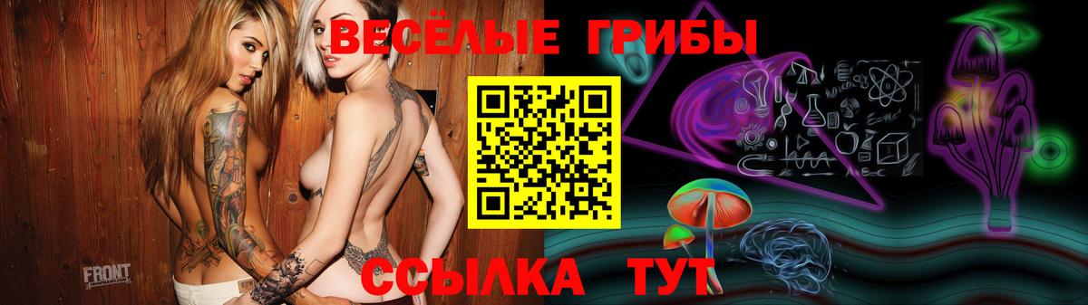 Галлюциногенные грибы ЛСД  Вход с VPN  Тамбов 